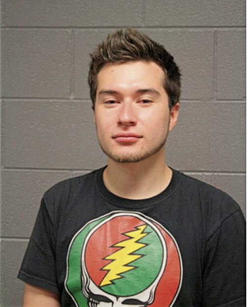 ALBERTO A VARGAS, Cook County, Illinois