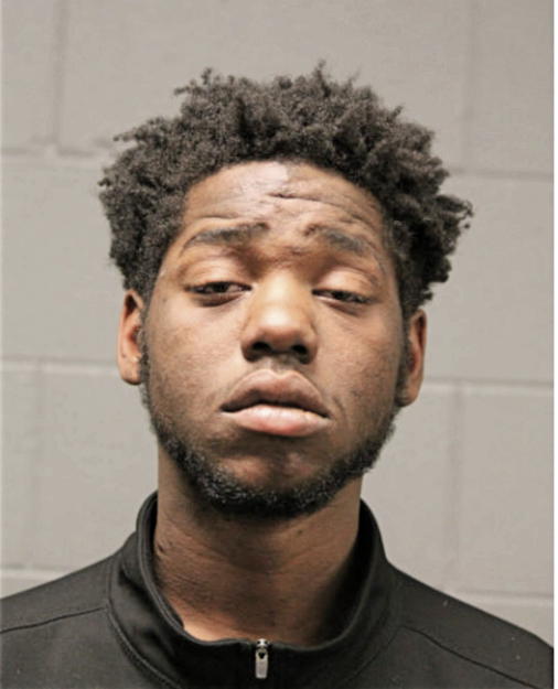 JAMES T ALLEN, Cook County, Illinois