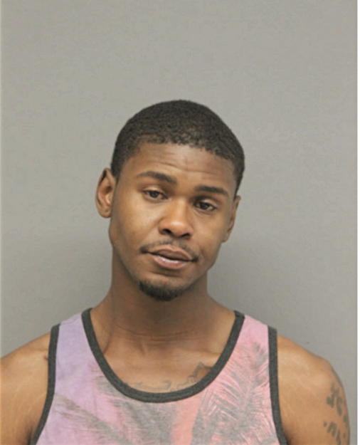 BRANDON ANDERSON, Cook County, Illinois