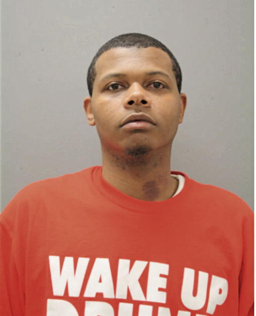 NATHANIEL A FIZER, Cook County, Illinois