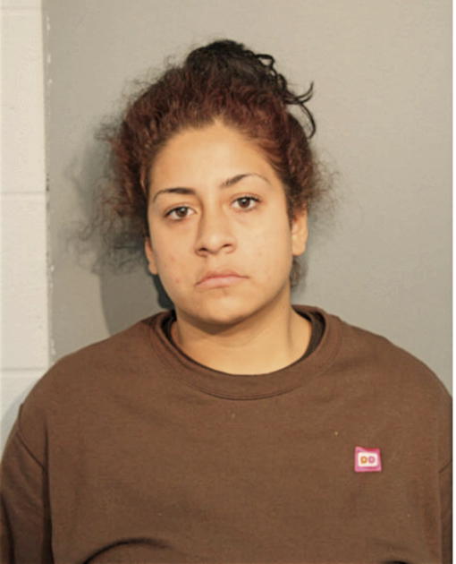 ELIZABETH M FLORES, Cook County, Illinois