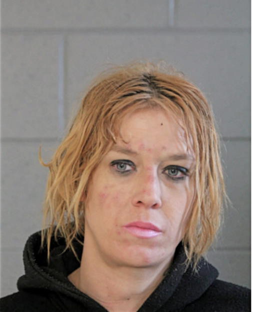 TINA L GODREY, Cook County, Illinois