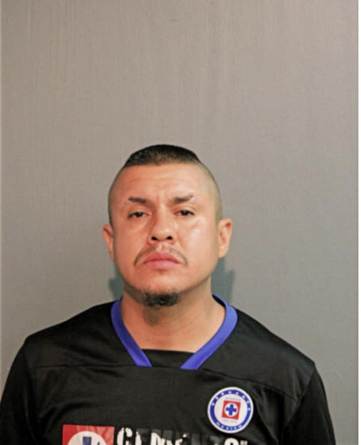 JOSE L GONZALEZ, Cook County, Illinois