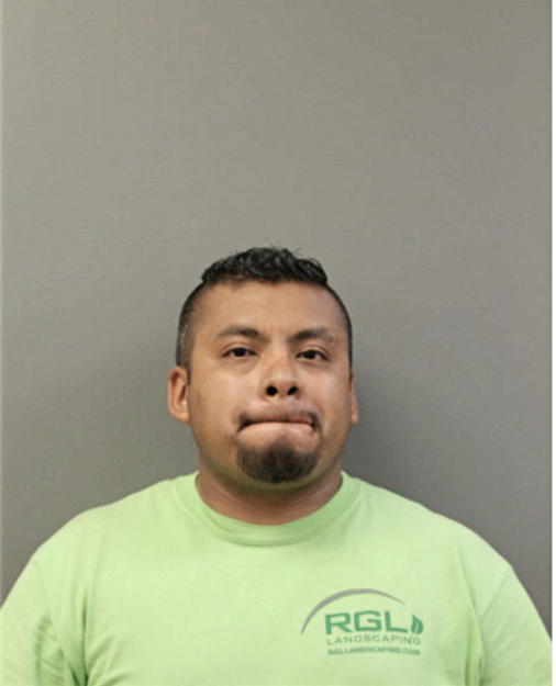 REYES GONZALEZ-RAMOS, Cook County, Illinois