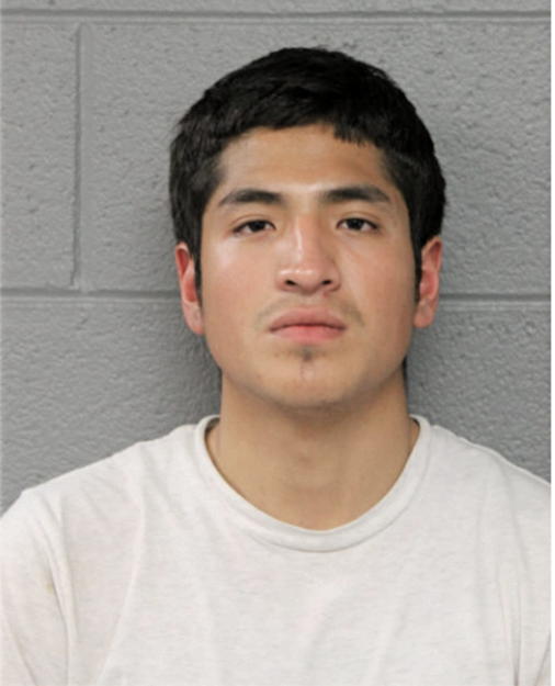GERARDO GUZMAN, Cook County, Illinois