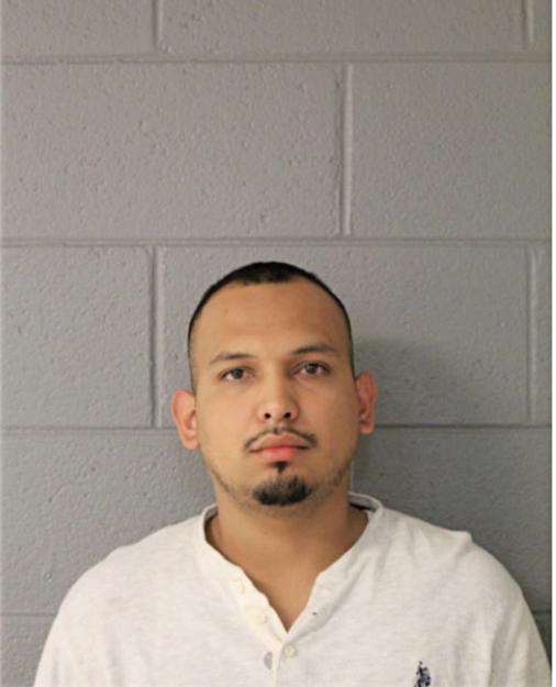 RICARDO INFANTE, Cook County, Illinois