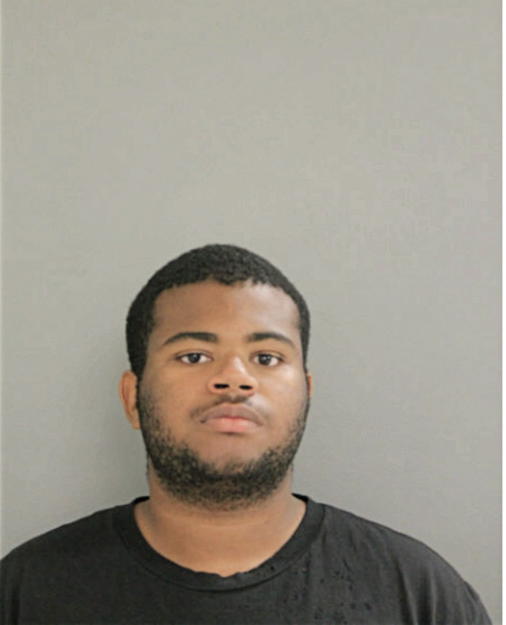 DORIAN A METZLER, Cook County, Illinois