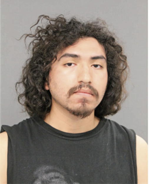 ERIC O NAVA, Cook County, Illinois