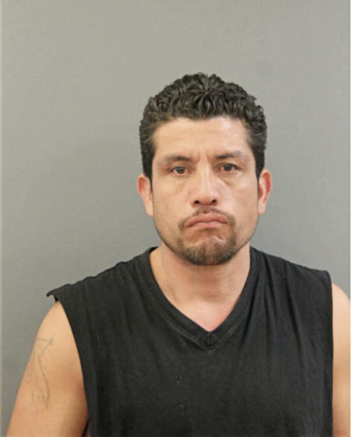 JOSE A ROCHA, Cook County, Illinois