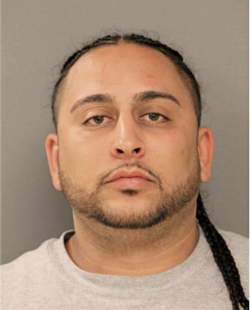 NICHOLAS S SIERRA, Cook County, Illinois