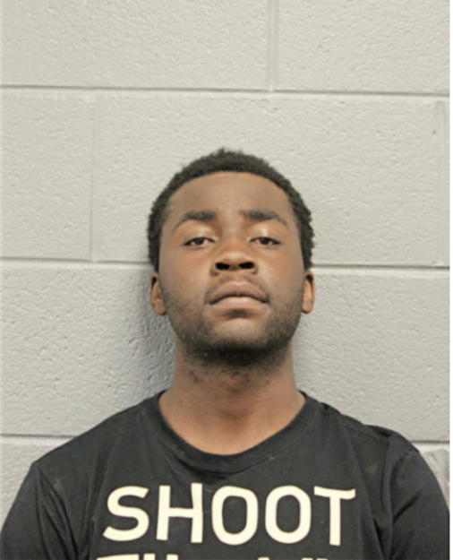 JOHN L SIMS, Cook County, Illinois