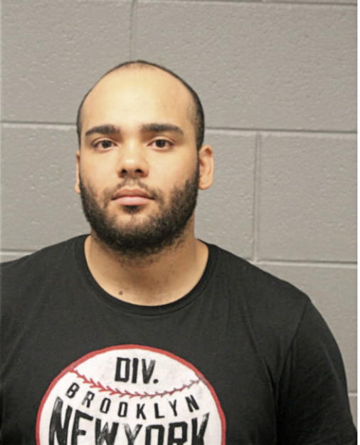 BRYAN VIGO, Cook County, Illinois