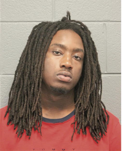 ARTIES ANDERSON, Cook County, Illinois