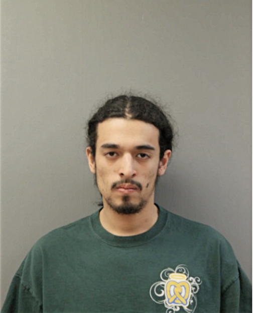 WILLIAM A ARCE, Cook County, Illinois