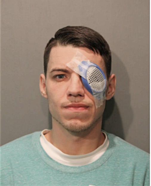 CHRISTOPHER M BARTOSIK, Cook County, Illinois