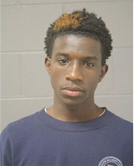 PHILLIP L BATIE, Cook County, Illinois