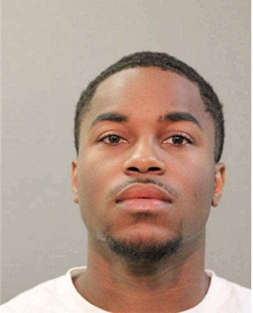 DONNIE D BOYD, Cook County, Illinois