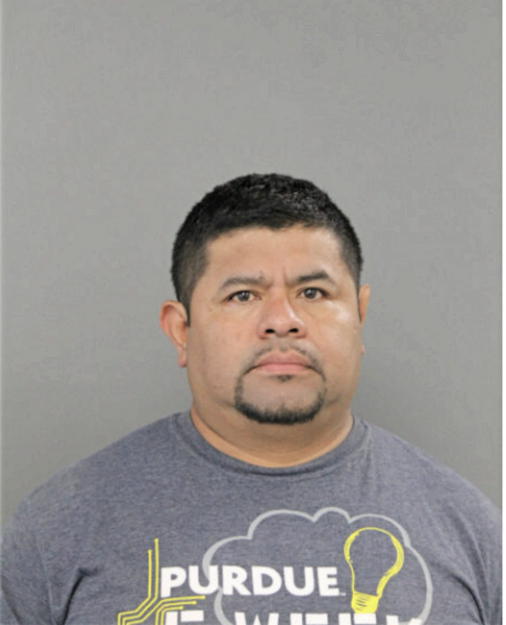 LUIS E BRAVO, Cook County, Illinois