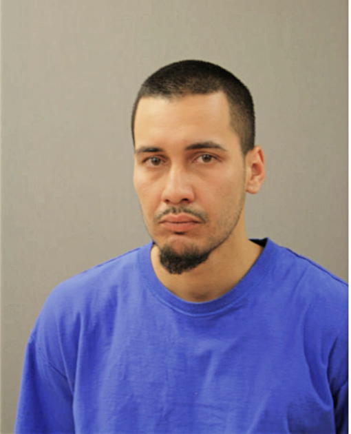 EDNER FLORES, Cook County, Illinois