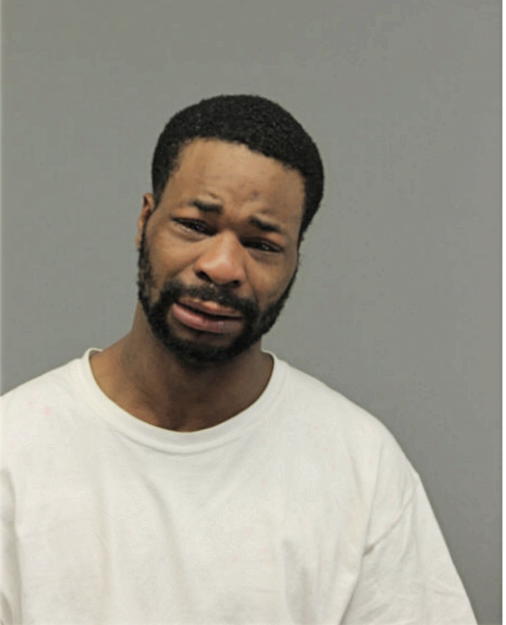 JAMES L GANT, Cook County, Illinois