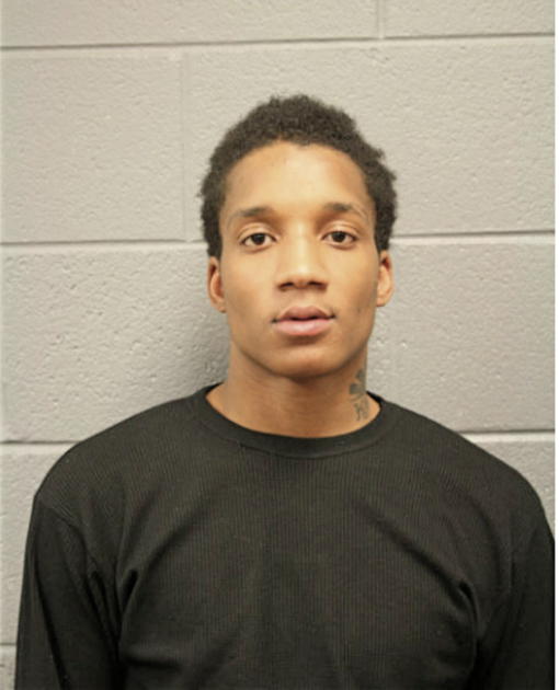 MICHAEL L LARES, Cook County, Illinois