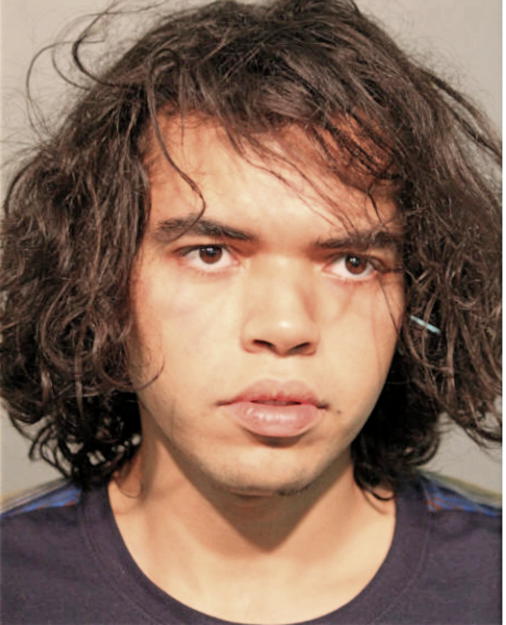 CHRISANTHONY R MAYORGA, Cook County, Illinois
