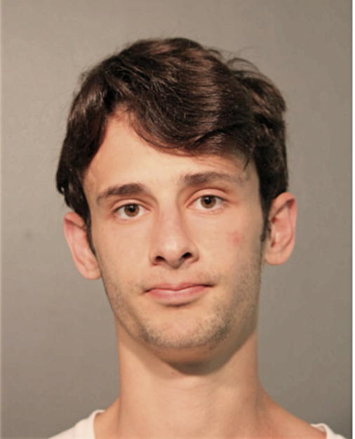 JARED R MERENS, Cook County, Illinois