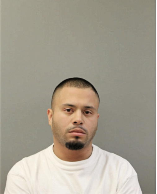 LUIS G MIRANDA, Cook County, Illinois