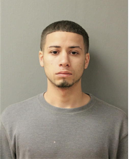 HECTOR L NEVAREZ, Cook County, Illinois