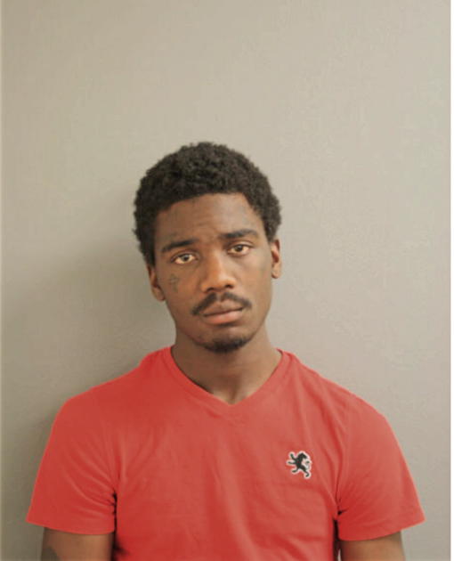 BRANDON K NORRIS, Cook County, Illinois