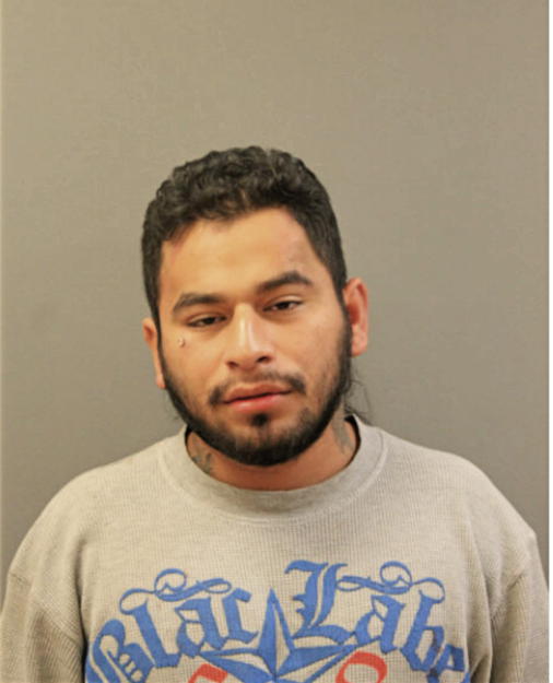 SAUL I OCAMPO, Cook County, Illinois