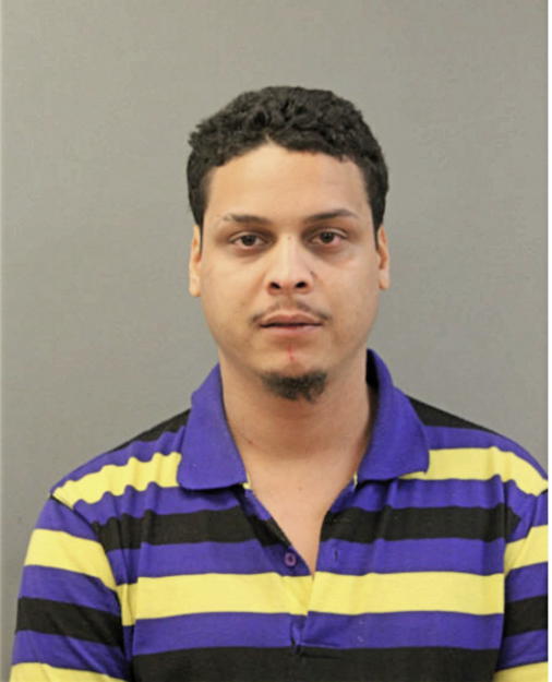 PABLO S PIZARRO, Cook County, Illinois