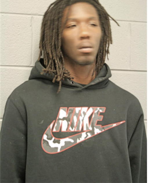 MARTIN L SATERFIELD, Cook County, Illinois