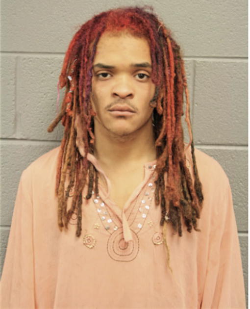 CHRISTOPHER L SKAGGS, Cook County, Illinois