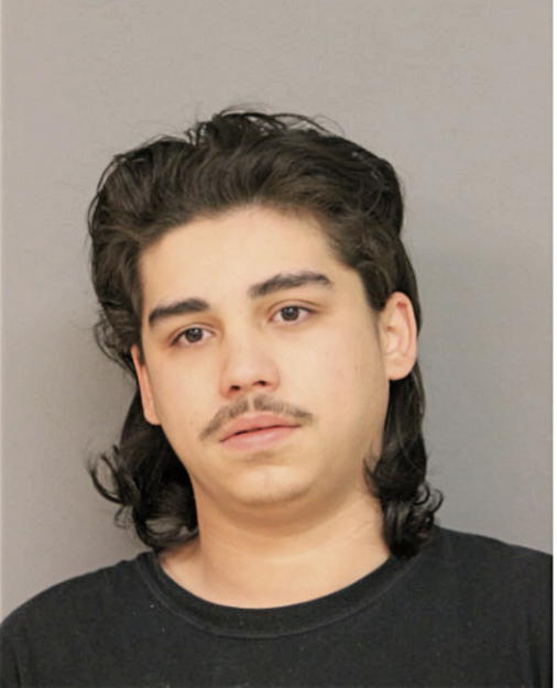 NICHOLAS J SOLIS, Cook County, Illinois