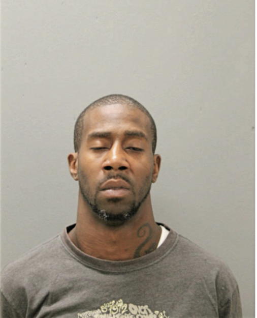 KEVIN L TERRY, Cook County, Illinois