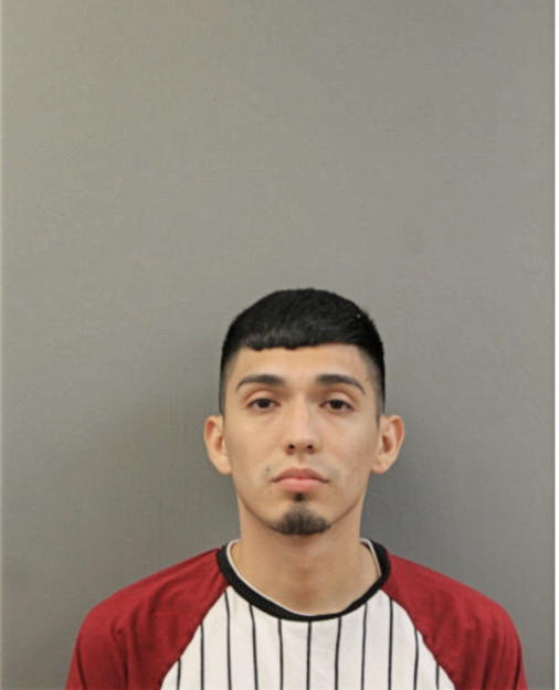 DAVID A VILLEGAS RODRIGUEZ, Cook County, Illinois