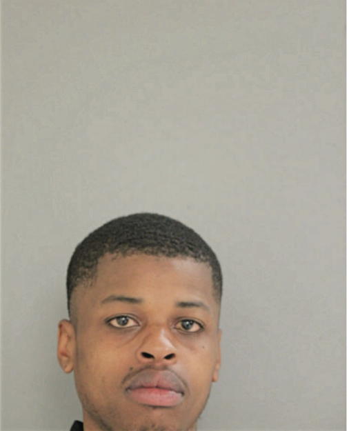 DAVID J YOUNG, Cook County, Illinois