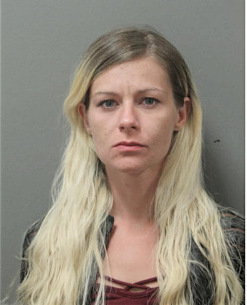 AMBER ALLEN, Cook County, Illinois