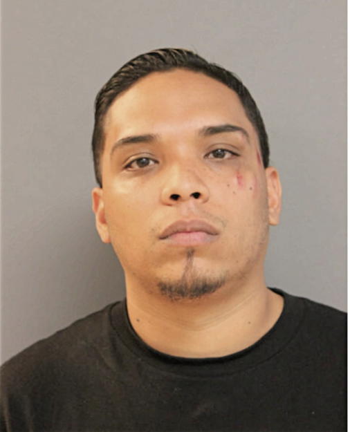 JORGE L BAEZA, Cook County, Illinois