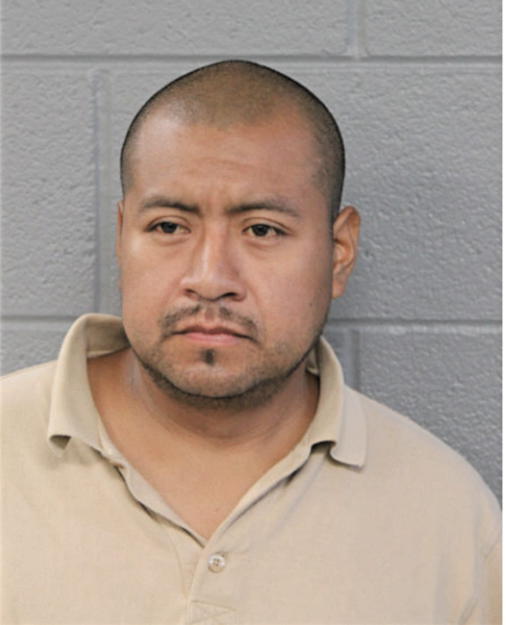 HUGO L BAILON-ARTEAGA, Cook County, Illinois