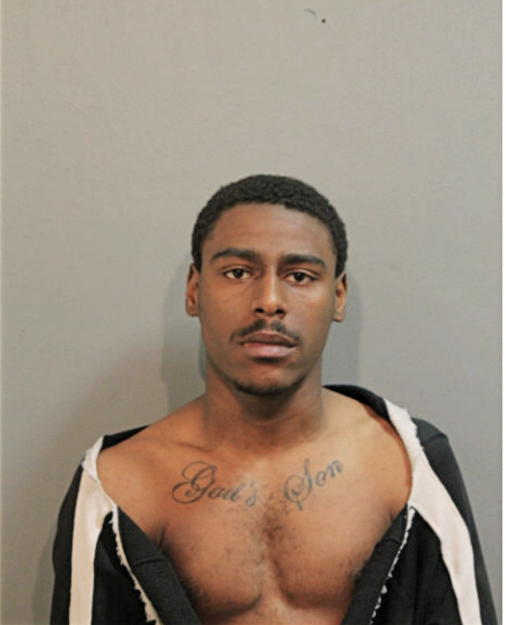 GARRETTE D BRINSON, Cook County, Illinois