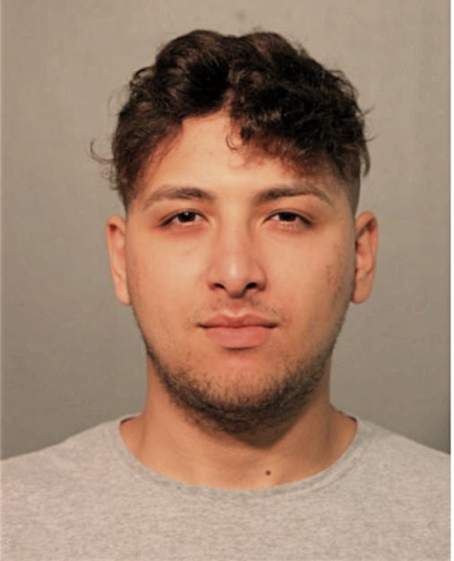 NICOLAS J CAJIGAS, Cook County, Illinois