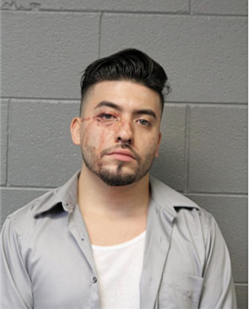 RICARDO CARRASCO, Cook County, Illinois