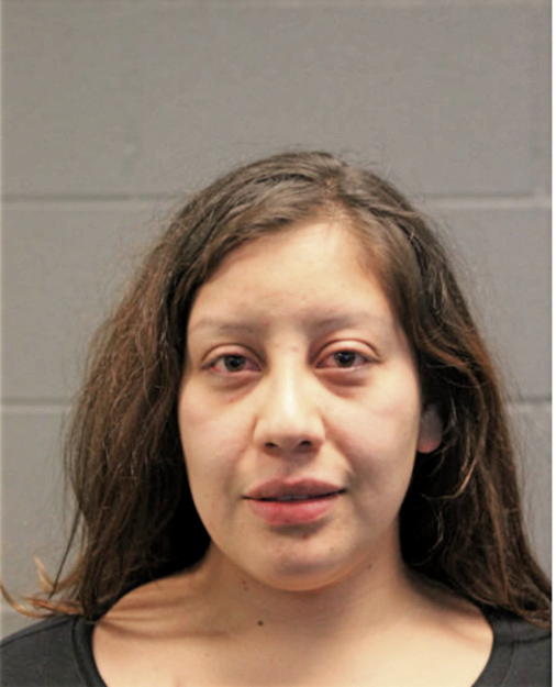 RAQUEL B CASTANEDA, Cook County, Illinois