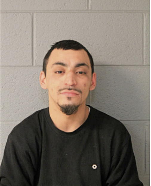 RAFAEL CASTELLANOS, Cook County, Illinois
