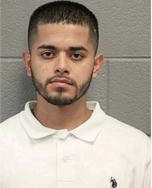 JOSE L DAVILA, Cook County, Illinois