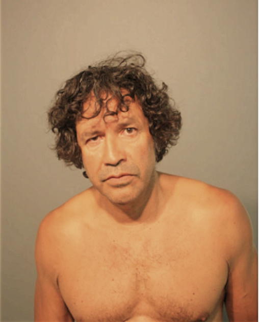 VINCENT G FAGERSON, Cook County, Illinois