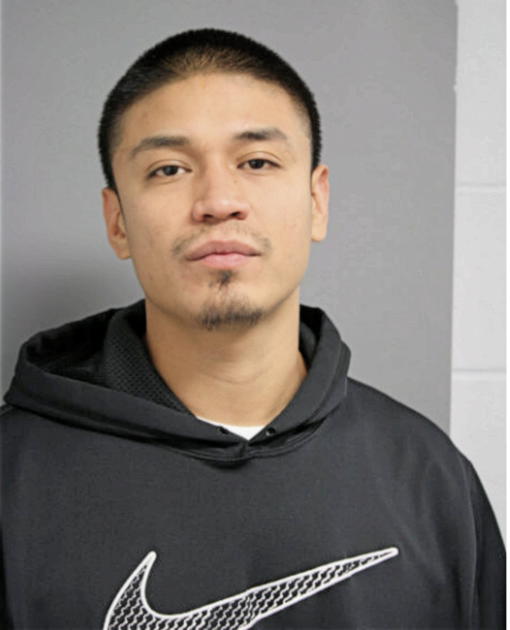 TONY FERNANDEZ, Cook County, Illinois