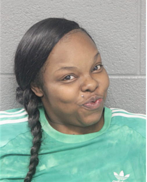 NICOLE J FRIERSON, Cook County, Illinois